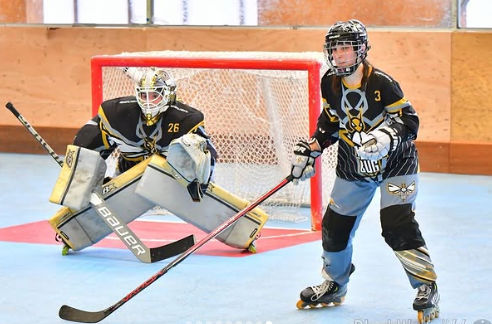 Hockey — Roller Bug